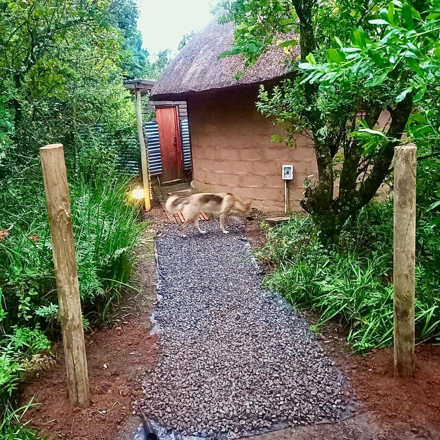 Inkosana Berg Lodge Champagne Valley Exterior foto
