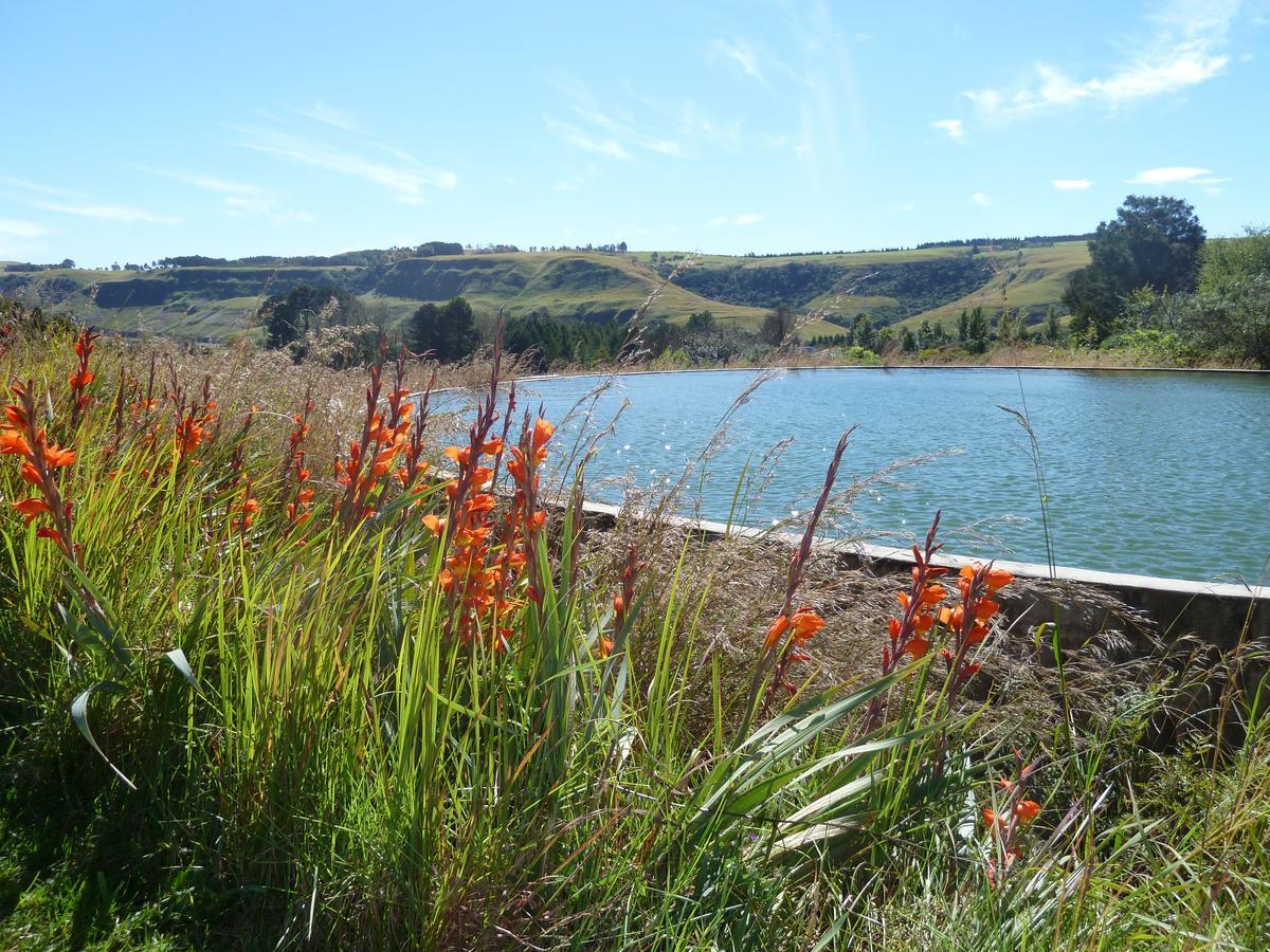 Inkosana Berg Lodge Champagne Valley Exterior foto
