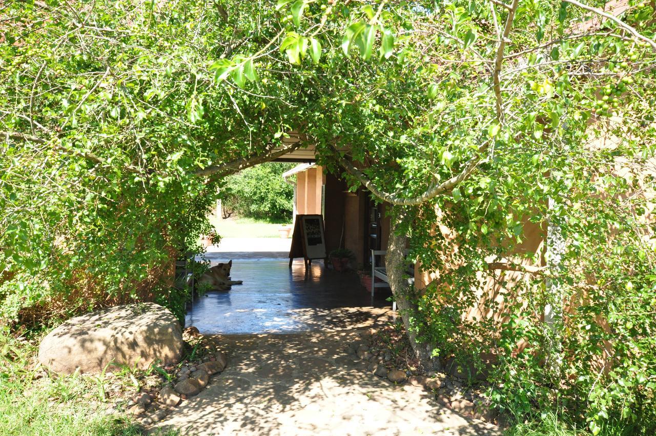 Inkosana Berg Lodge Champagne Valley Exterior foto